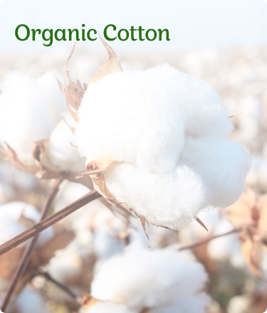 Organik Cotton